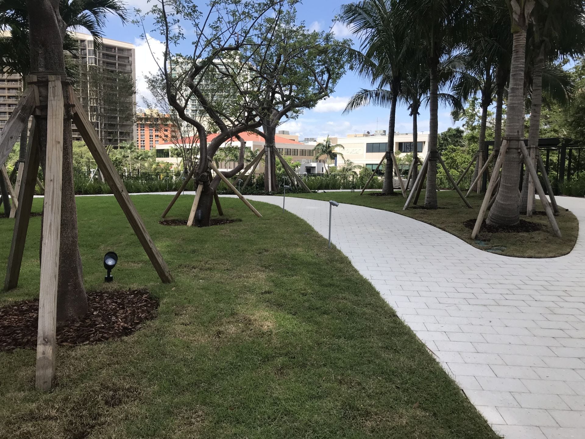 Park Grove landscape design by Enzo Enea Park Grove landscape design by Enzo Enea